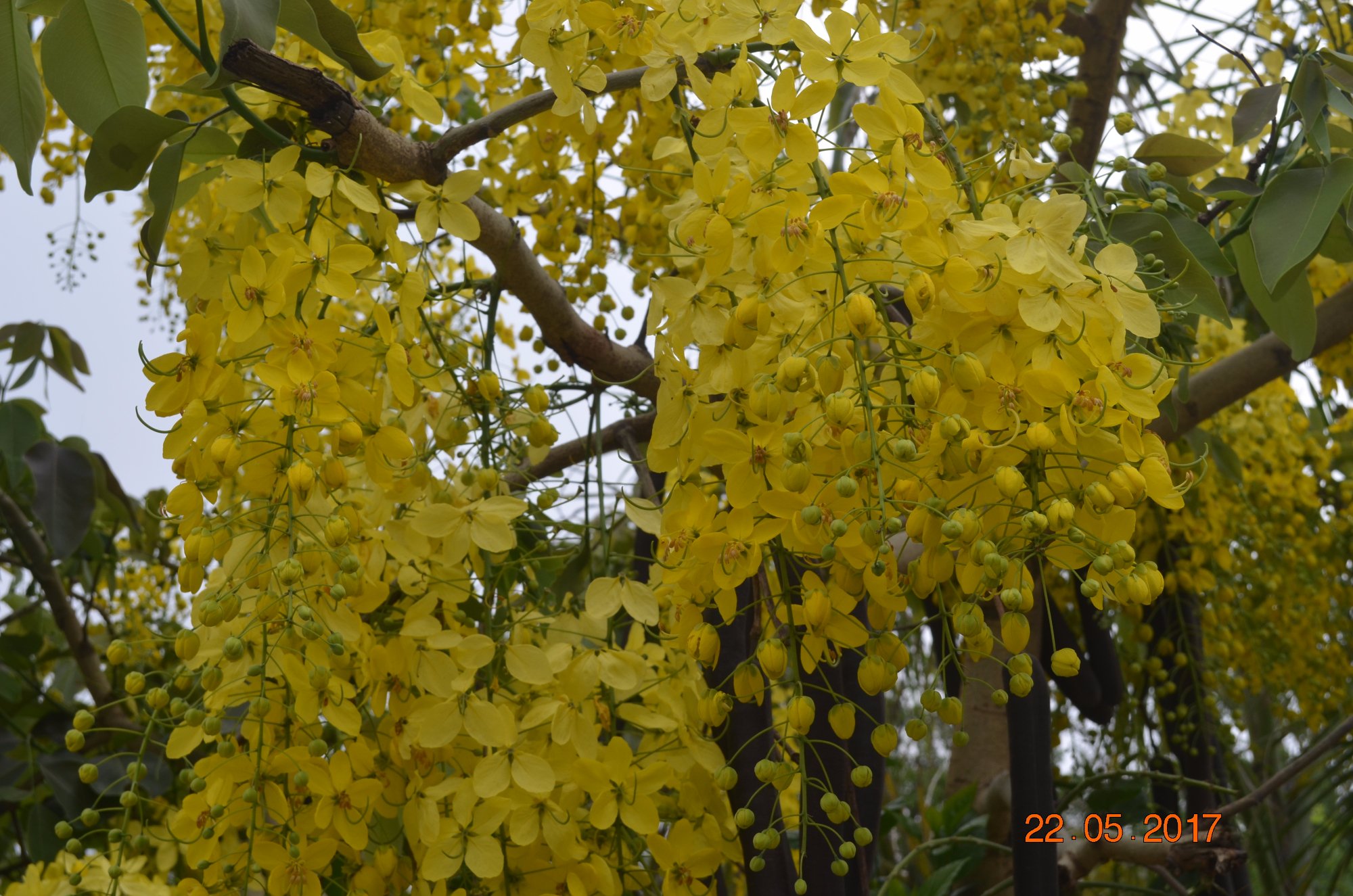 Jyoti Hotel and Restaurant-浴室