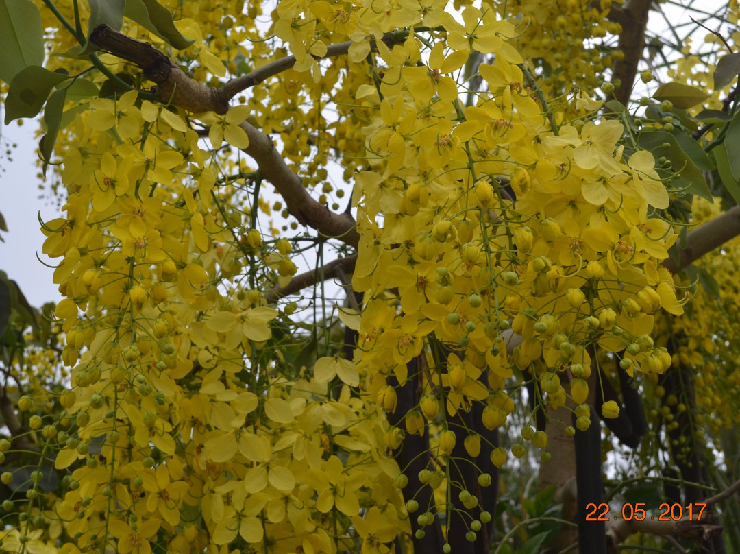 Jyoti Hotel and Restaurant主图