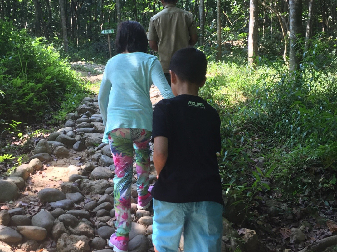 Penangkaran Rusa Cariu-茂物必去景点