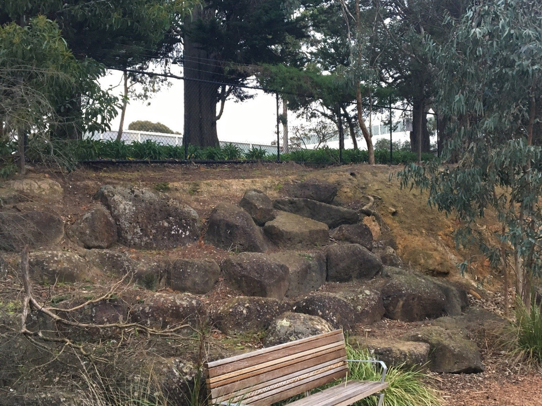 Surrey Park-博士山必去景点
