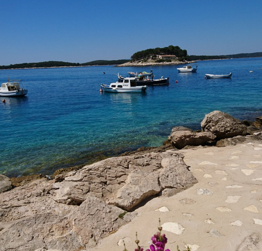 Island Galešnik景点图片