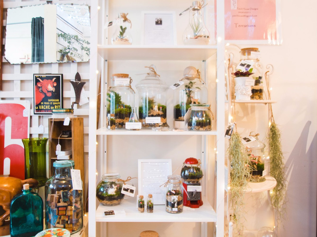 Olinda Collective-奥林达必去景点