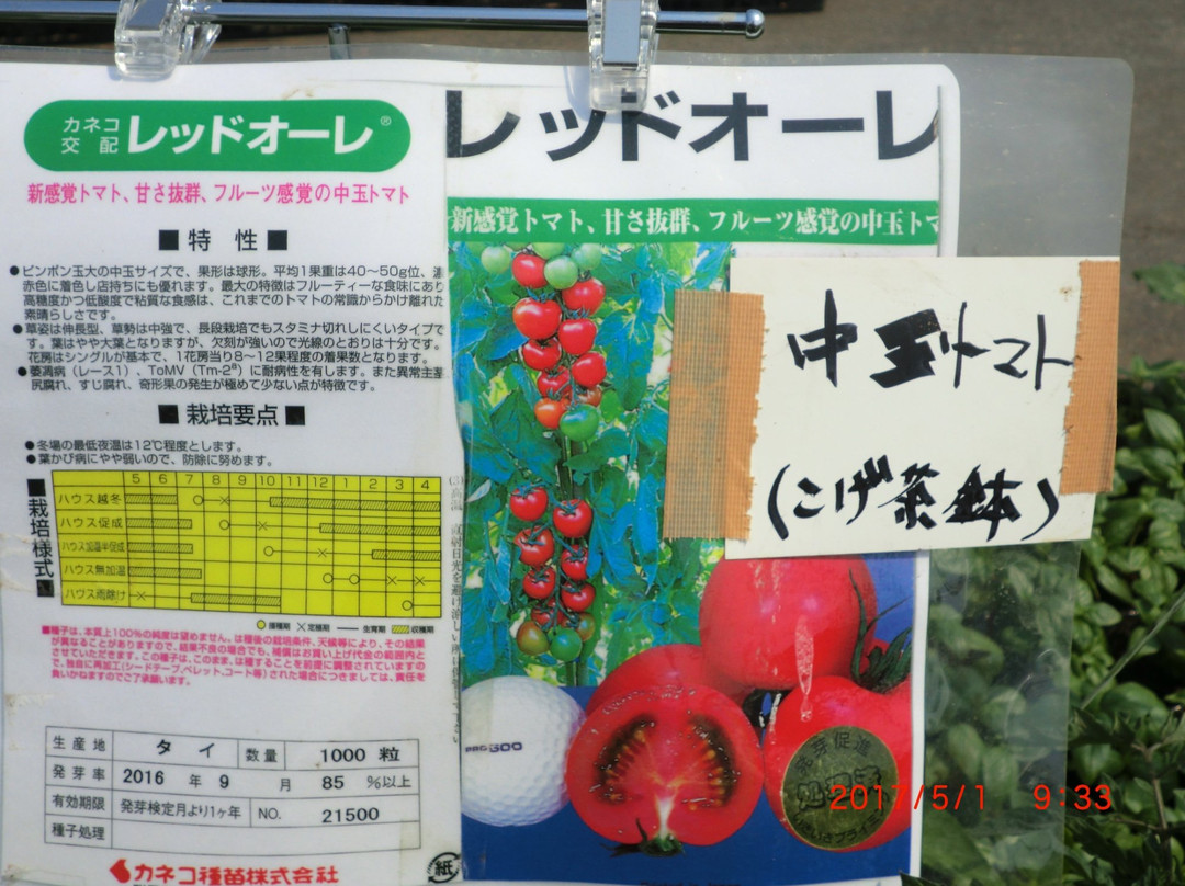 Asadorefami Narita景点图片