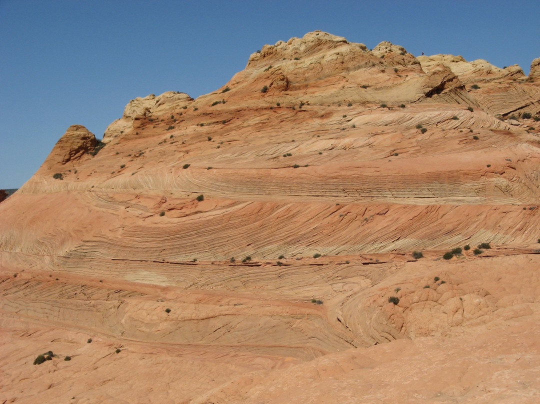 Edmaiers Secret-比格沃特必去景点