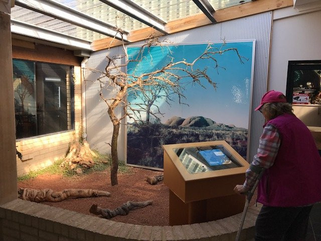 The Sandalwood Shop-奥尔巴尼必去景点