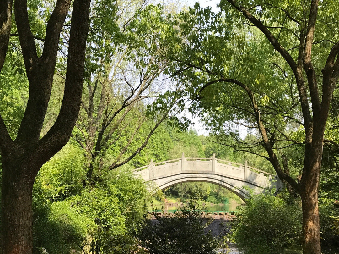 佛心广场-新昌县必去景点