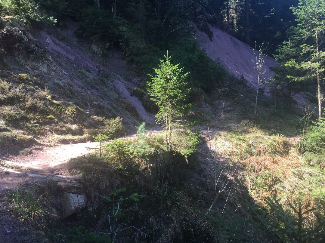 Genießerpfad - Peterstaler Schwarzwaldsteig-Bad Peterstal-Griesbach必去景点