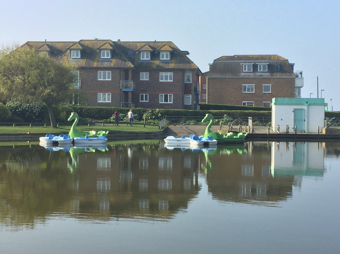 Mewsbrook Park Pedalo & Boat Hire景点图片