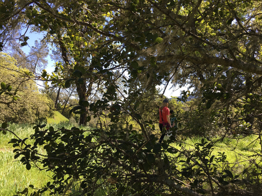Oat Hill Mine Trail-卡利斯托加必去景点