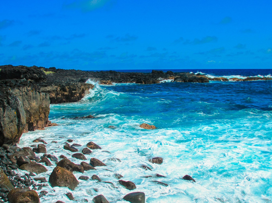 Pahoa Pool-帕霍亚必去景点