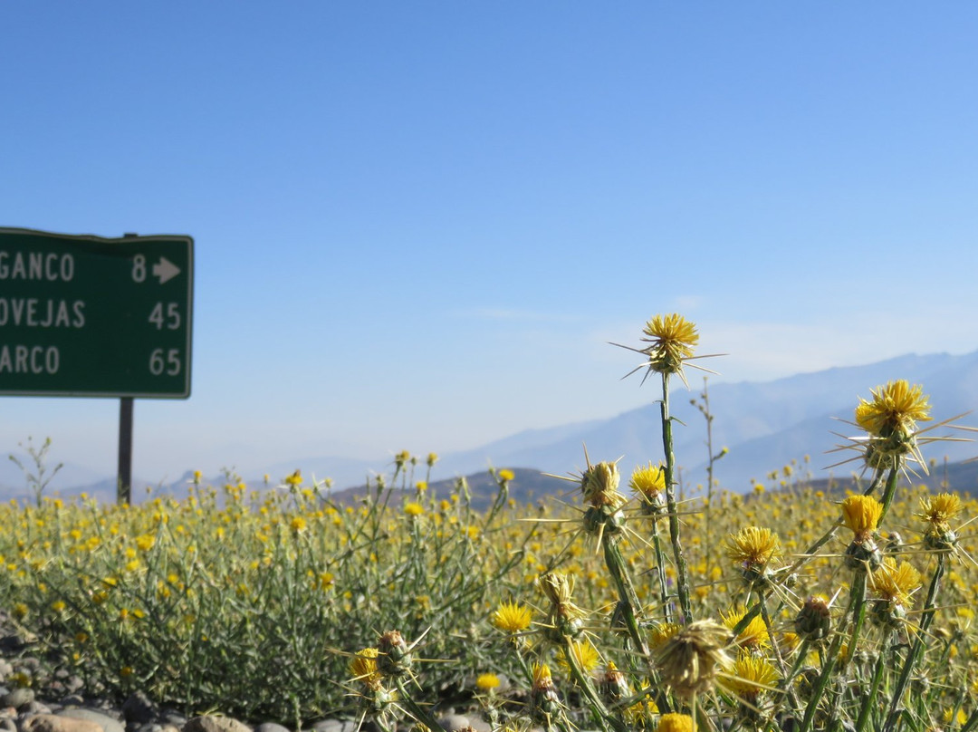 Termas del Domuyo-Andacollo必去景点