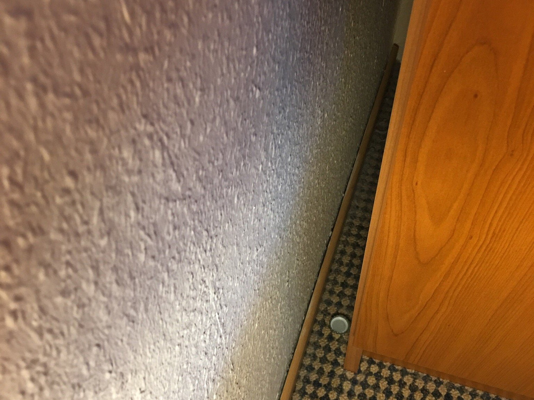 Dormero Hotel Wilhelmshaven主图