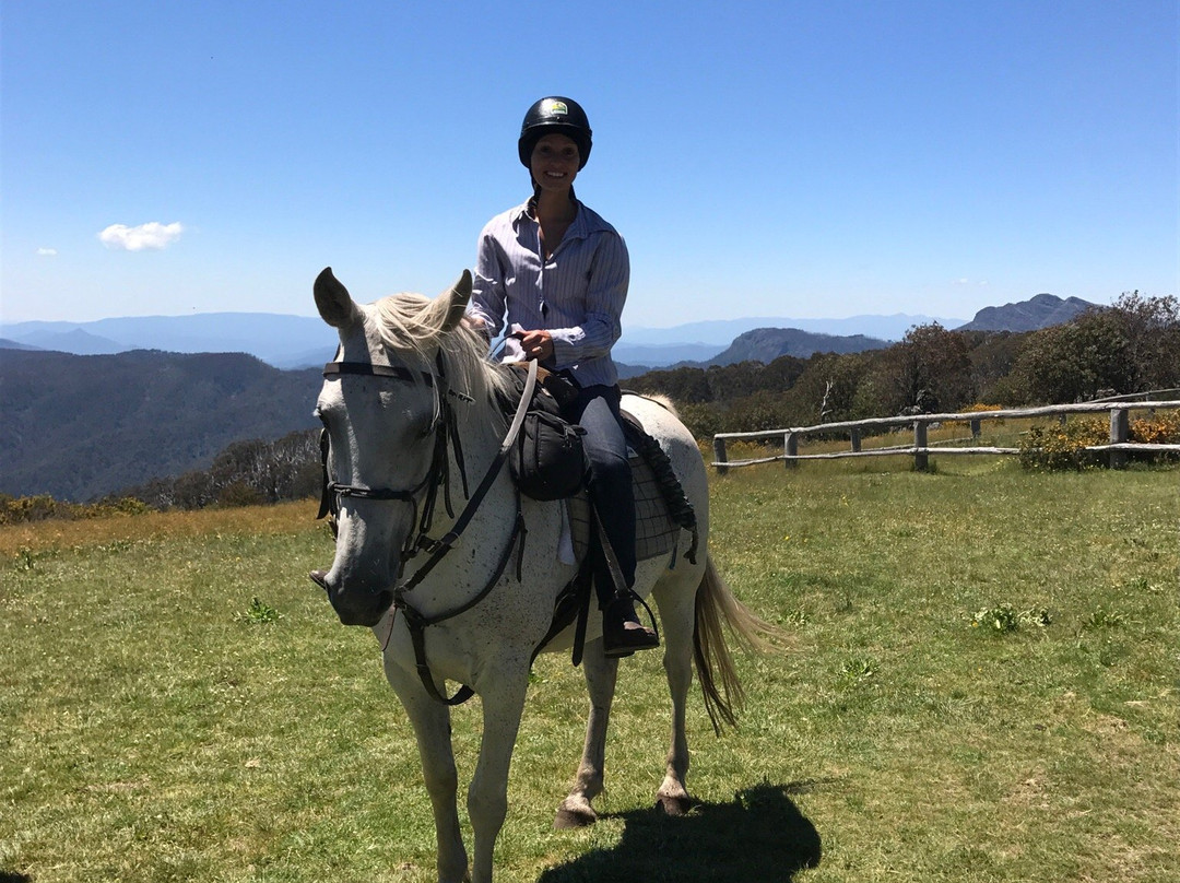 High Country Horses - Day Tours-Merrijig必去景点