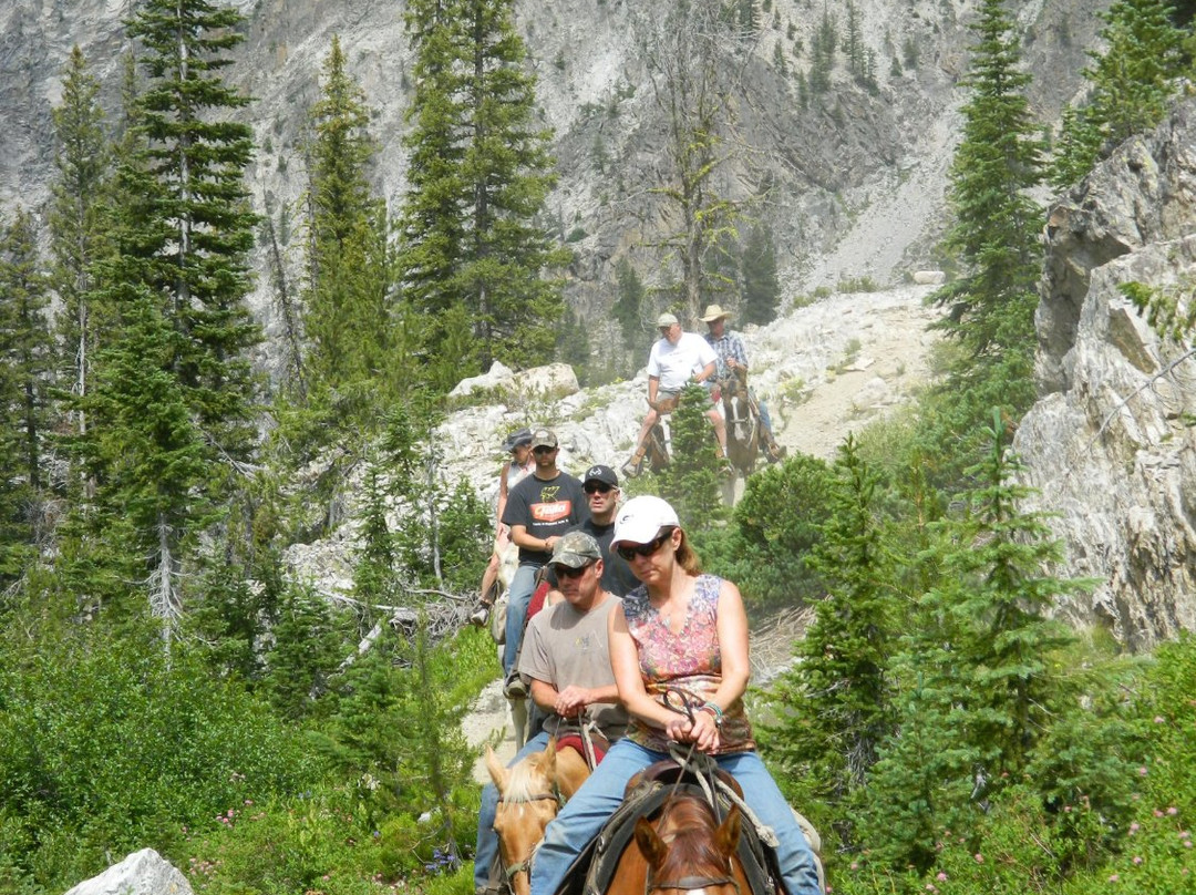 Allred's Adventures Sawtooth Wilderness Outfitters景点图片