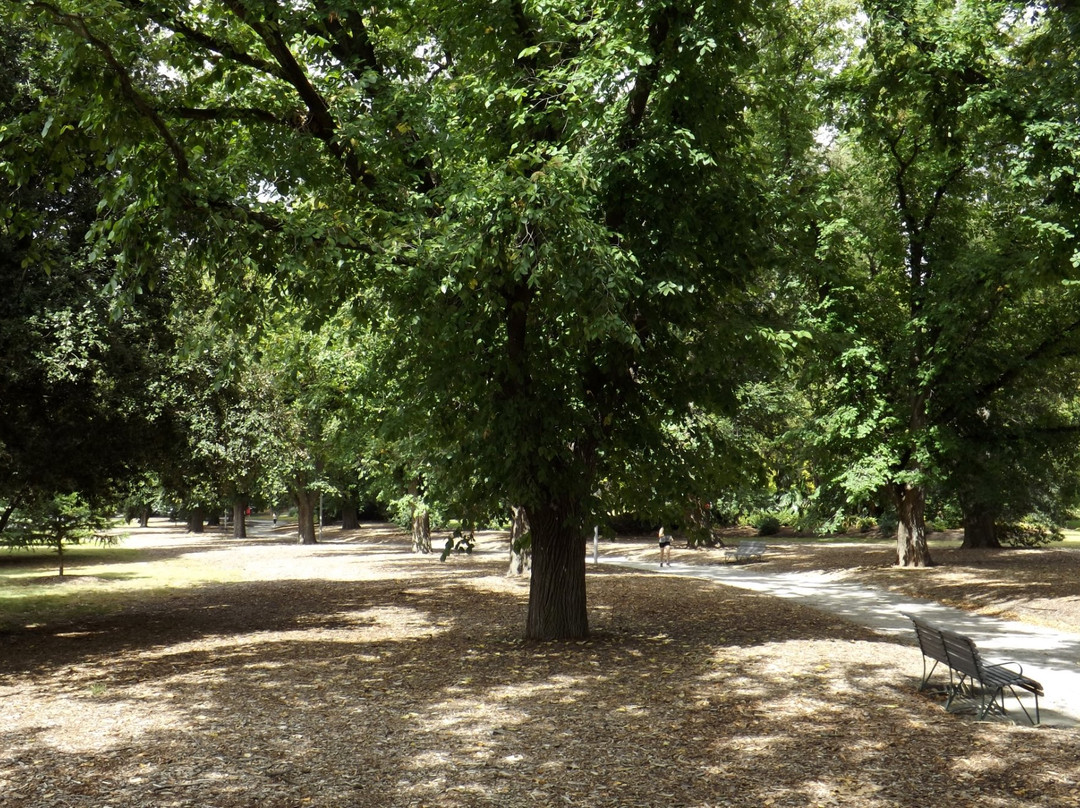 Central Park景点图片
