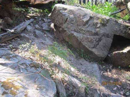 Mt Thackeray-Dunkeld必去景点