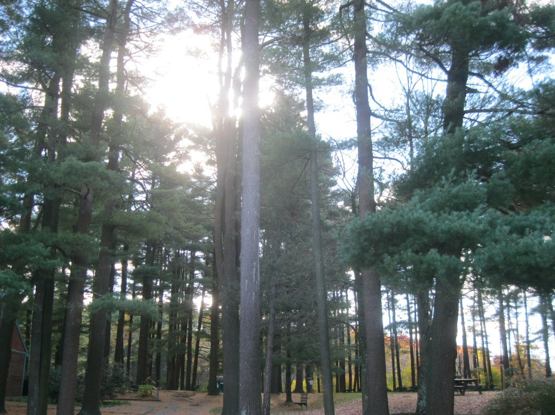 Cochituate State Park-内蒂克必去景点