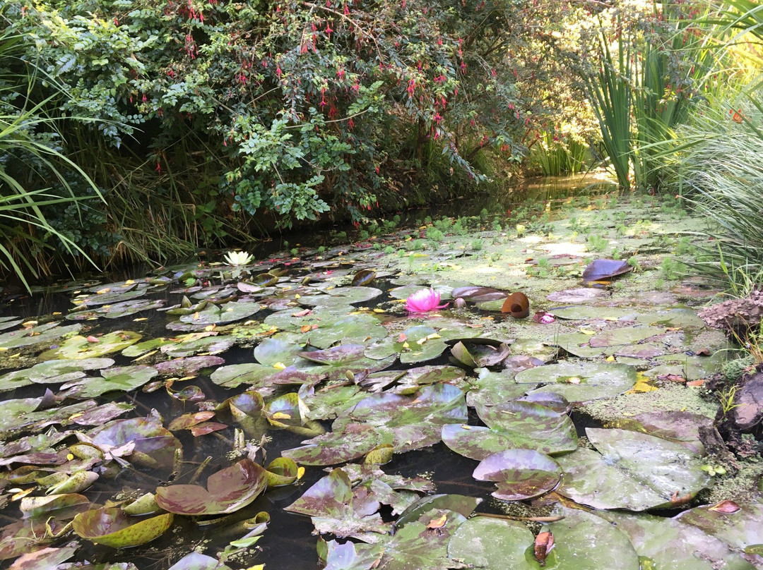 Yali Explora-Santo Domingo必去景点