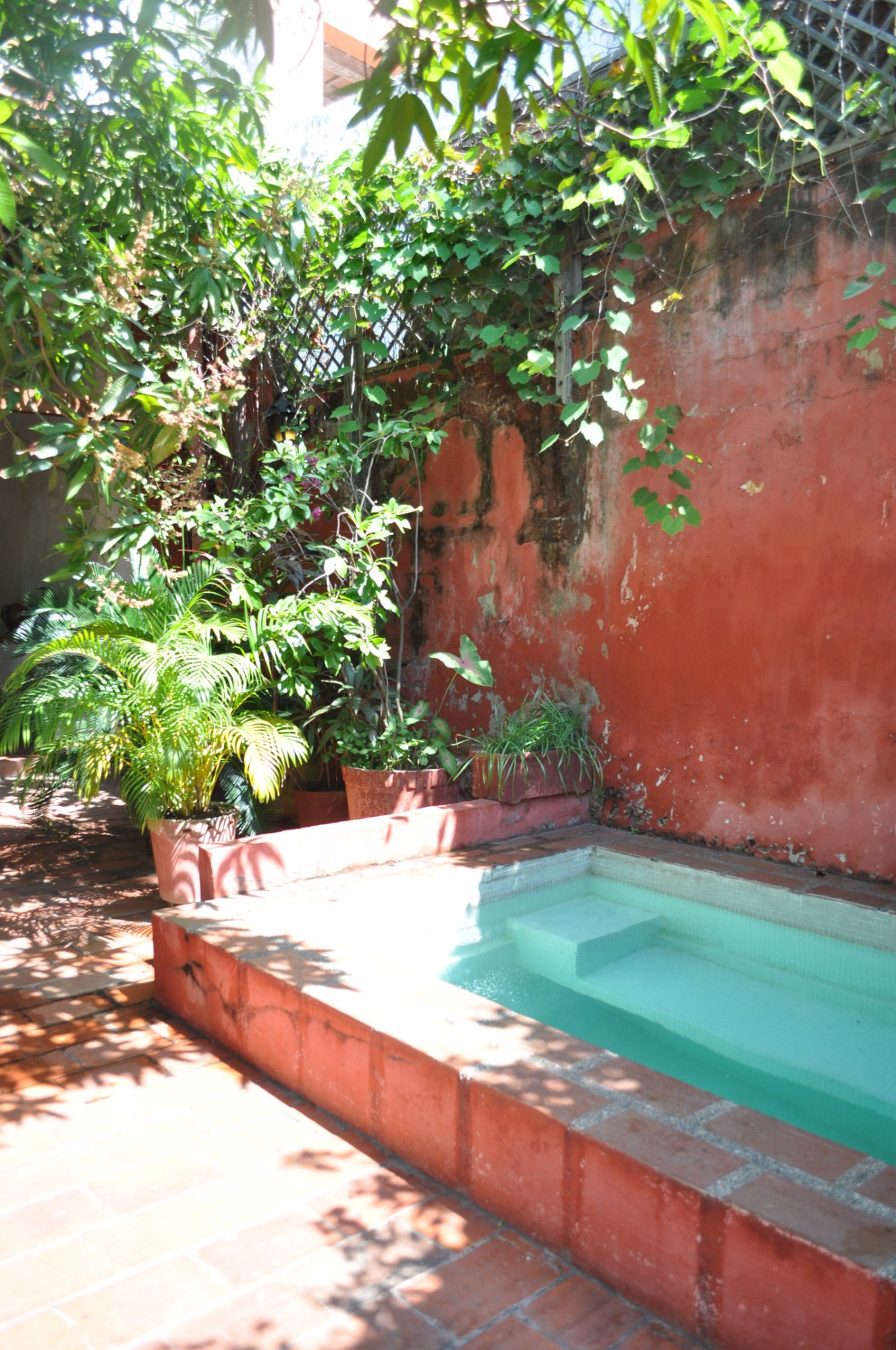 Casa Peter-泳池