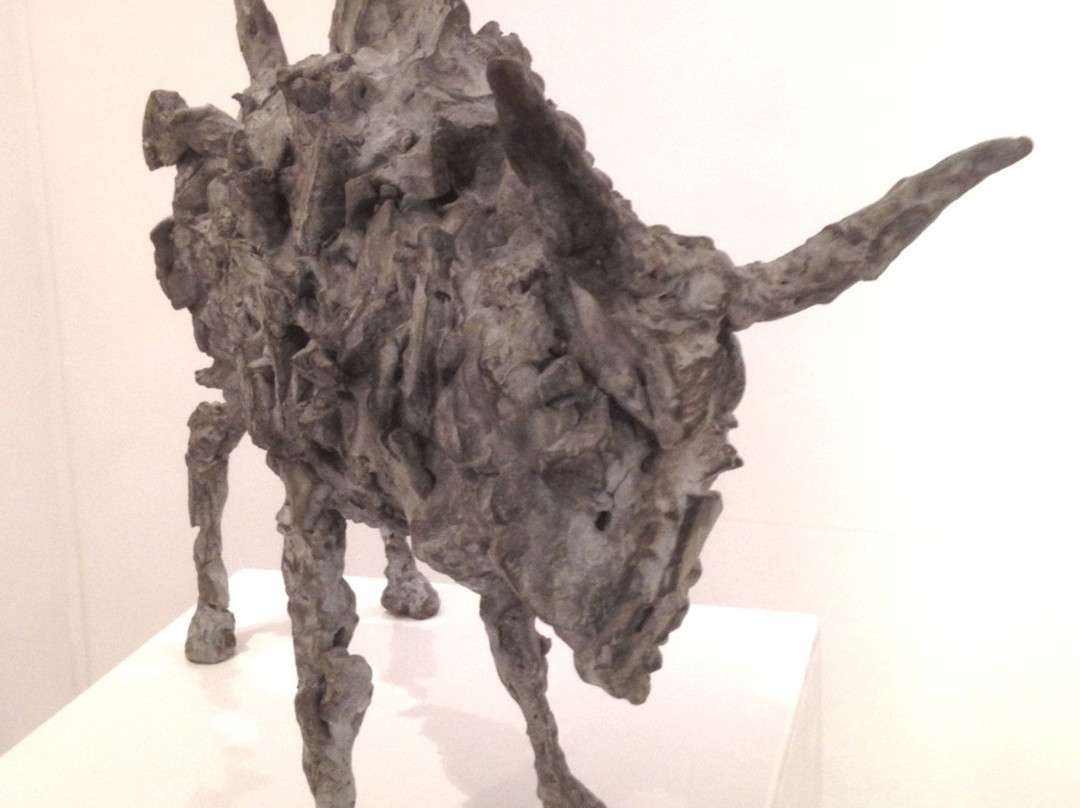 Hamilton Gallery-斯莱戈必去景点