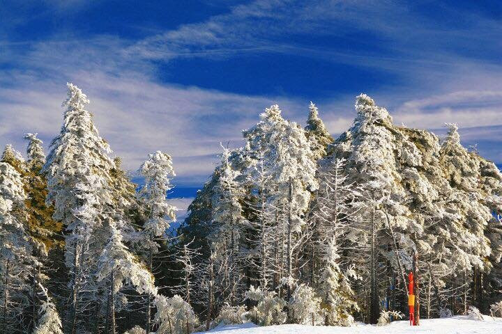 Timberline Mountain-戴维斯必去景点