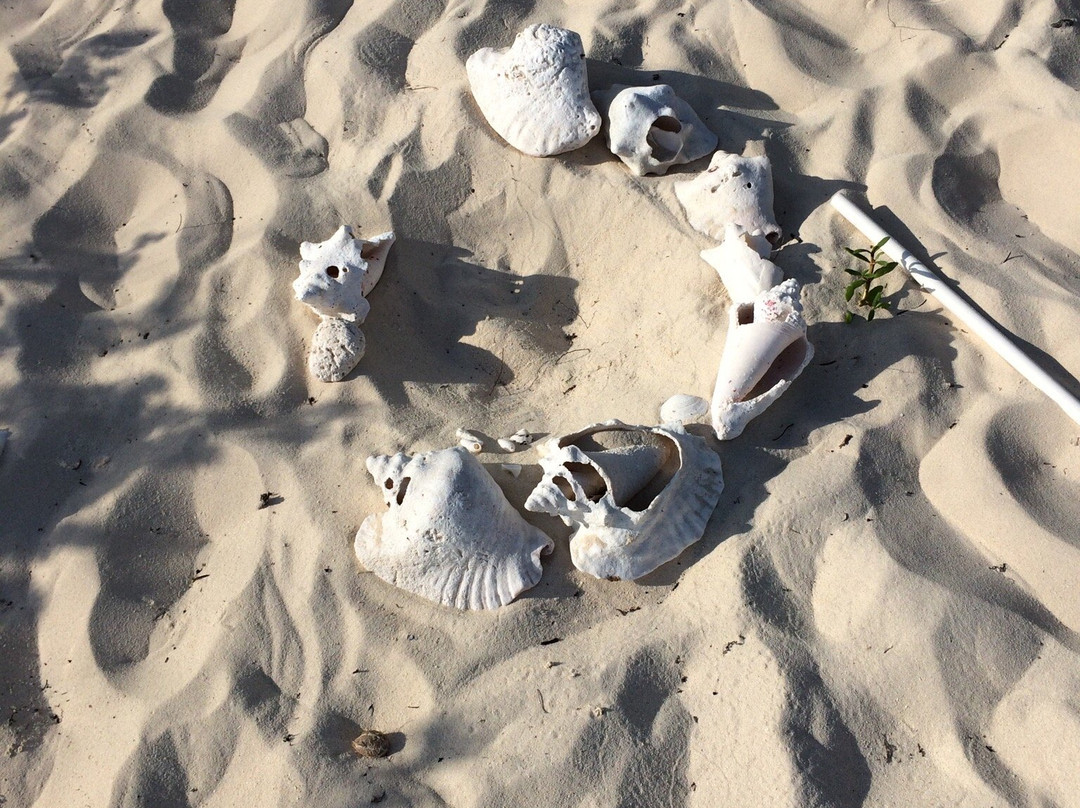 Columbus Landfall National Park-Grand Turk必去景点