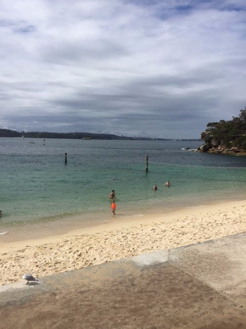 Neilsen Park-Vaucluse必去景点