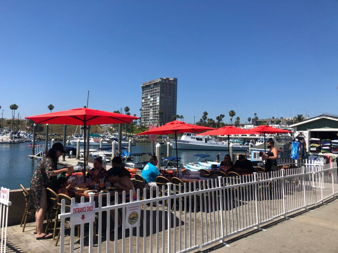 Rockin' Baja Oceanside Harbor