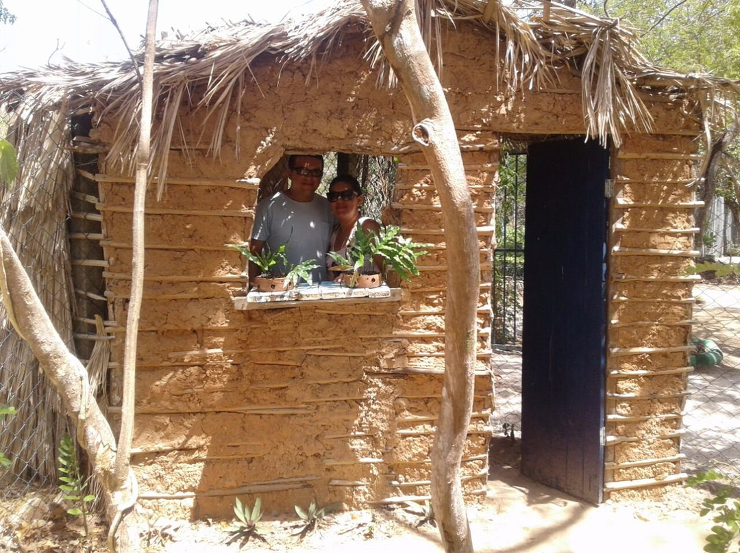 Ceara Botanical Park-Caucaia必去景点