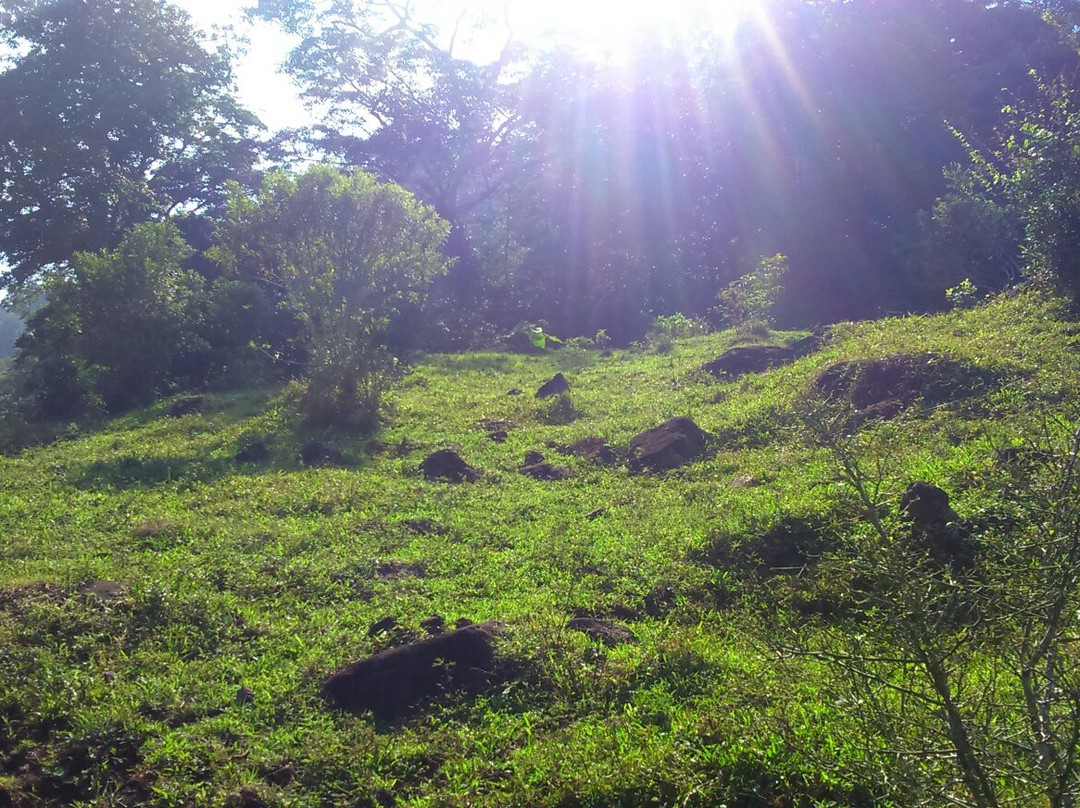 Reserva Ecologica Benito Juarez景点图片