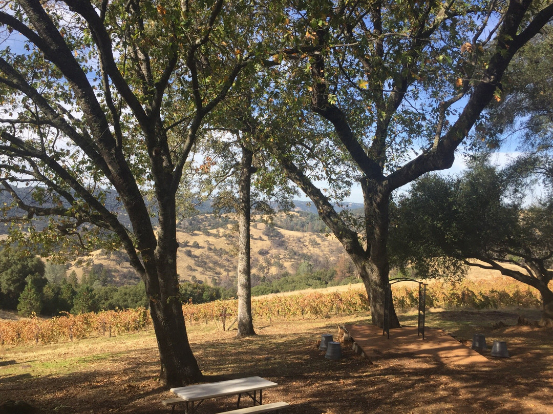 Story Winery景点图片