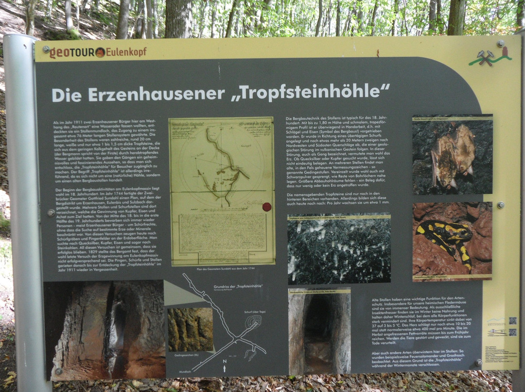 Tropfsteinhöhle Erzenhausen景点图片