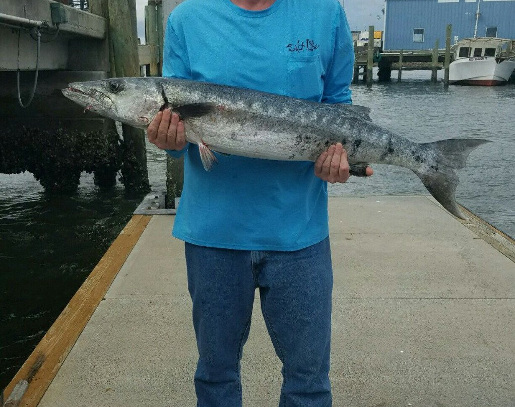 Mayport Princess Deep Sea Fishing-杰克逊维尔必去景点