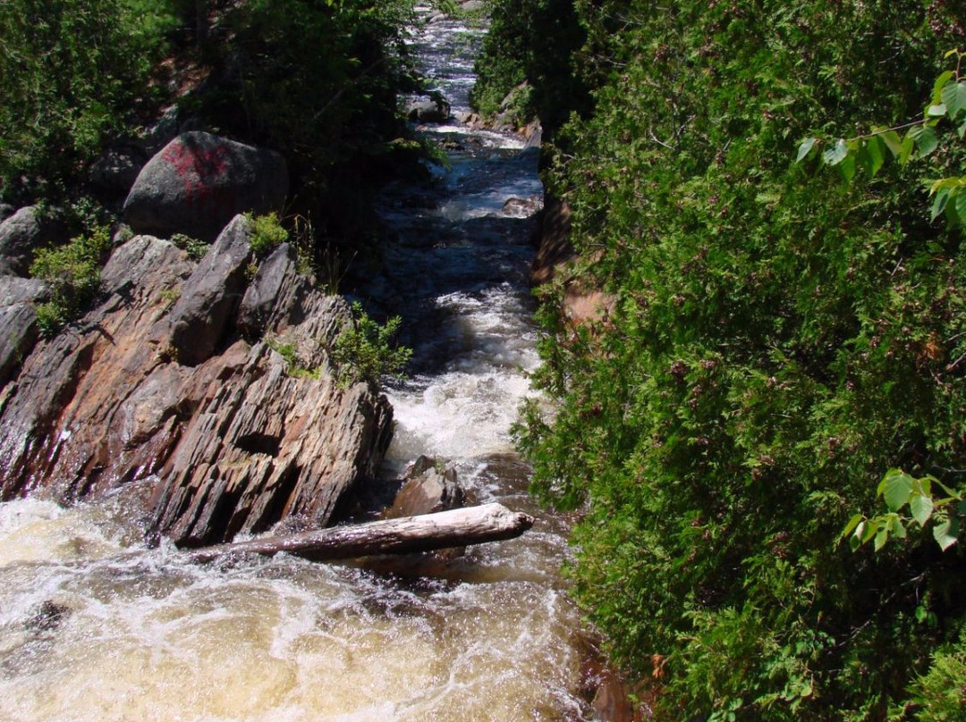 Parc des Chutes de Montauban景点图片