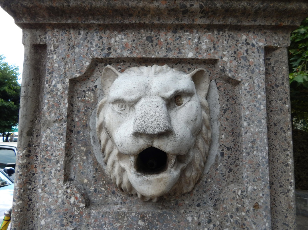 Old Fountain in Virpazar-维尔巴札拉必去景点