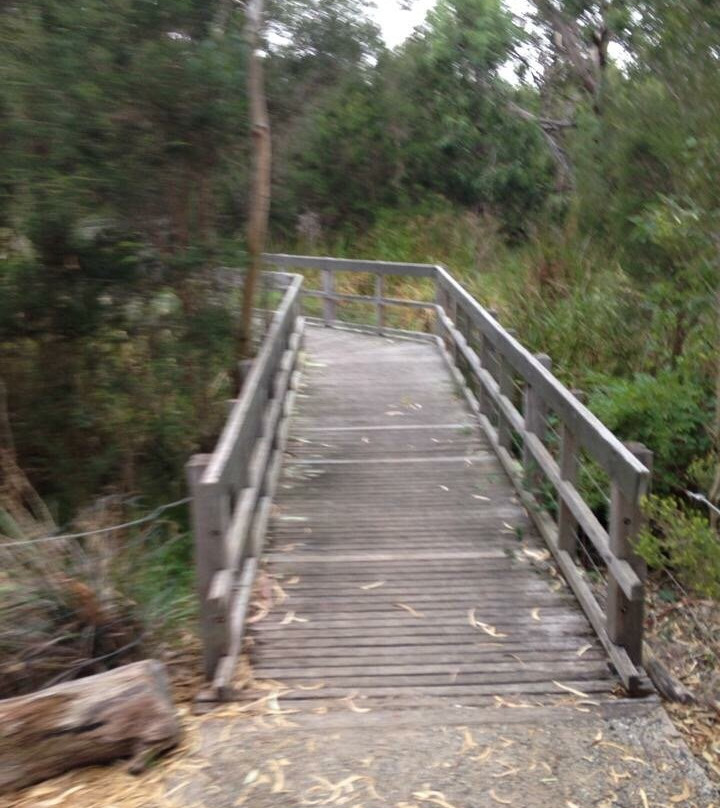 Glen Iris Park Wetlands景点图片
