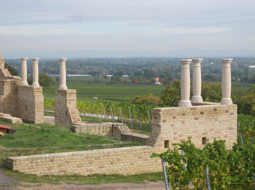 Römisches Weingut Weilberg景点图片