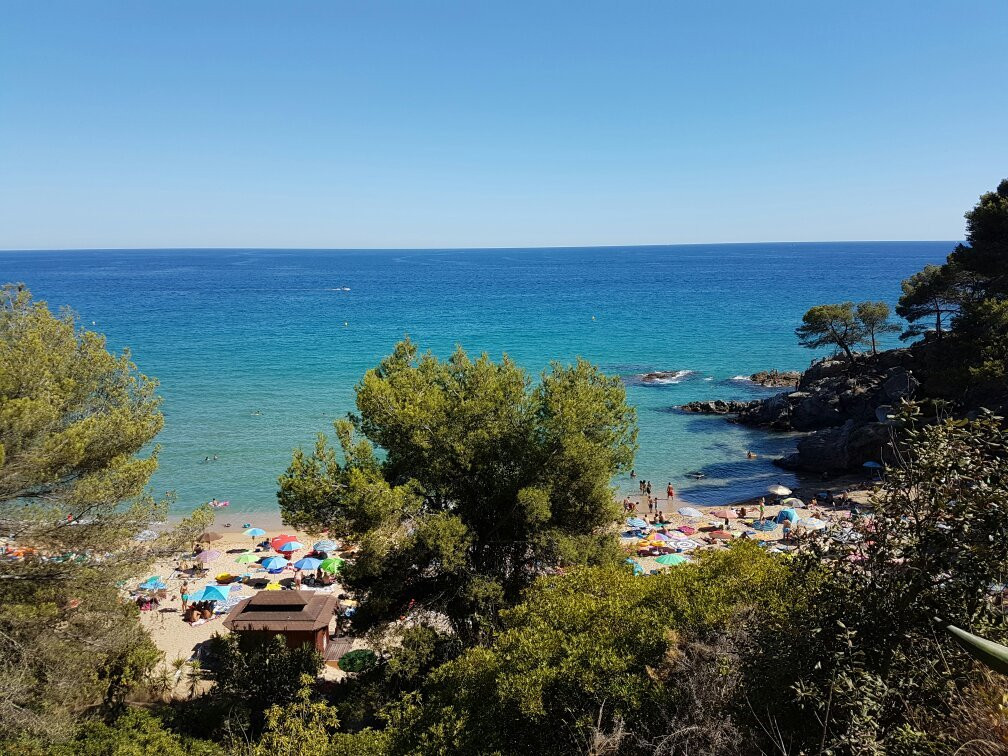 Playa de Santa Cristina景点图片