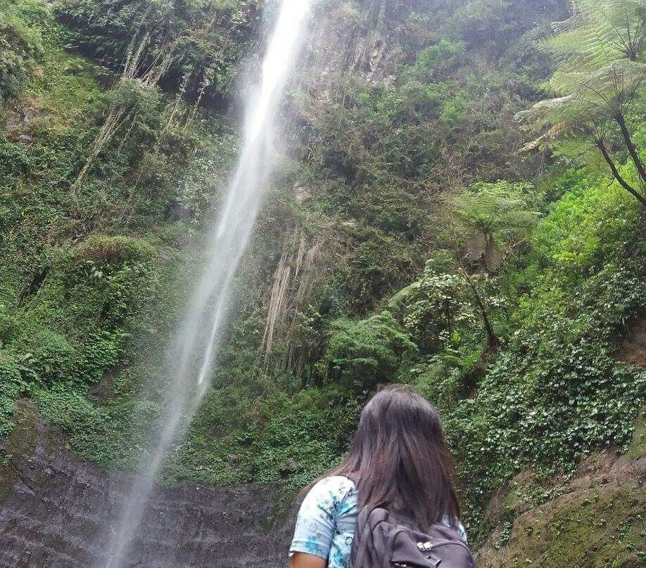 Kali Pancur Waterfall景点图片
