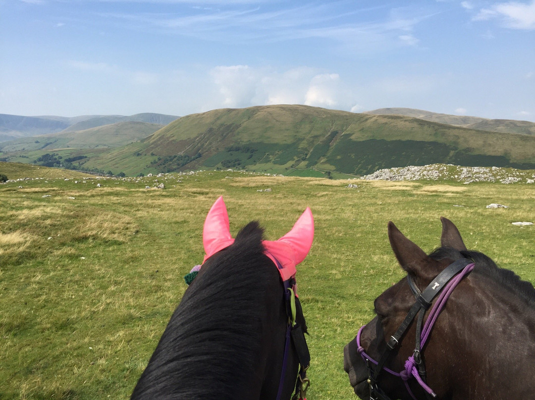 Eden Valley Trail Riding Centre景点图片