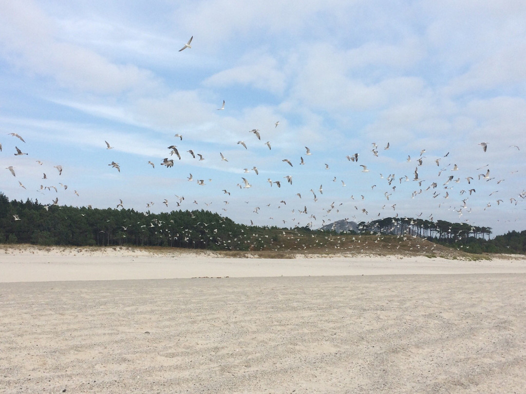 Playa Larino景点图片