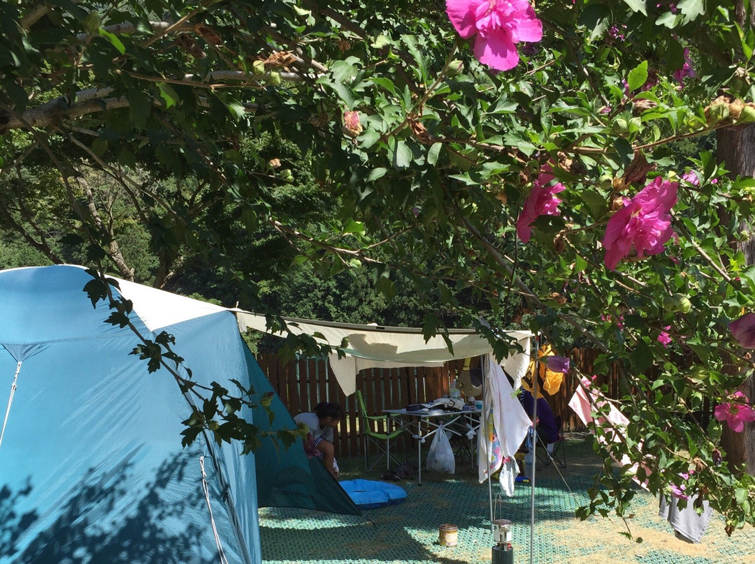 Westriver Auto Mobile Camp Site