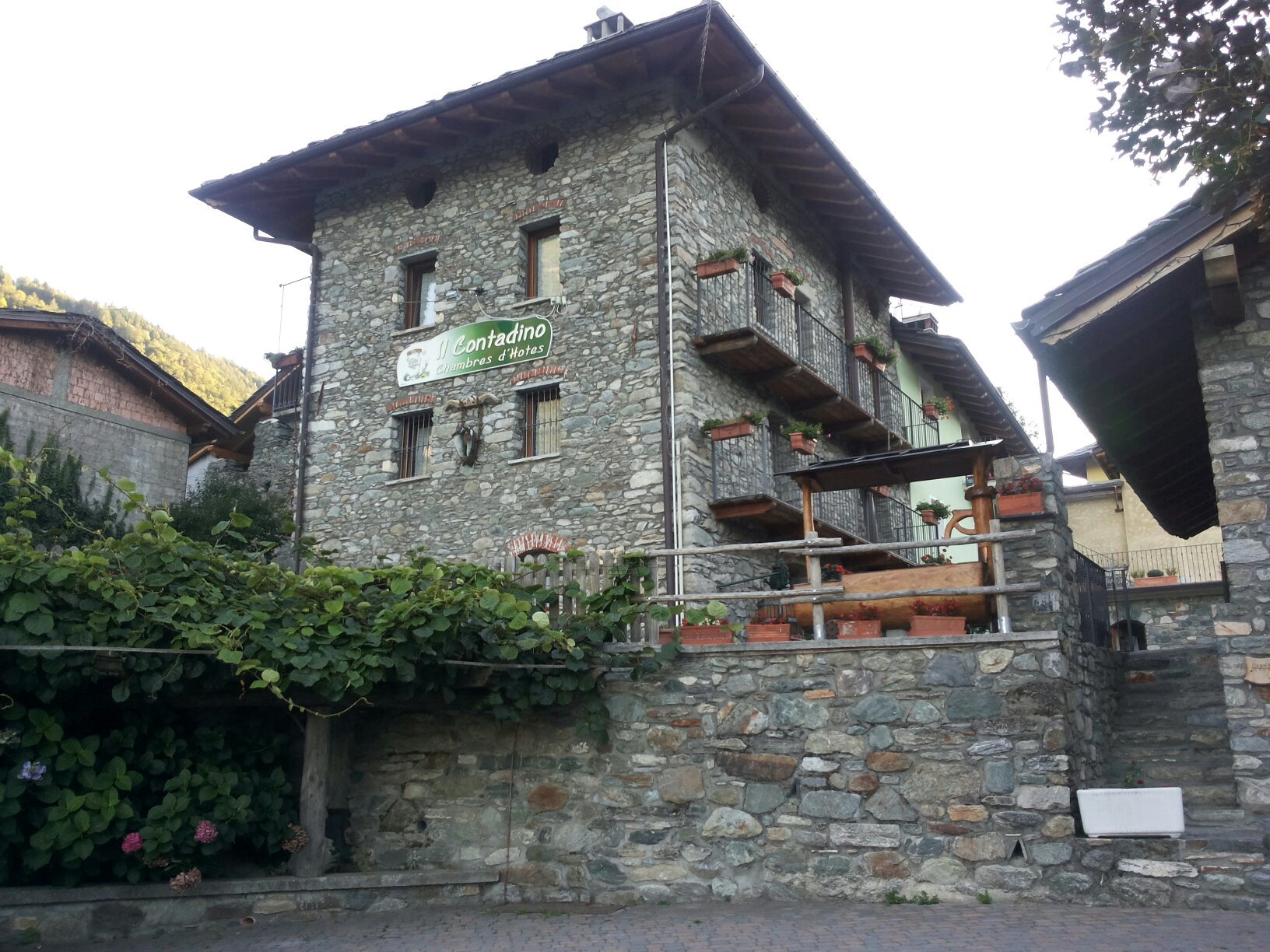 Affittacamere Il Contadino-官方