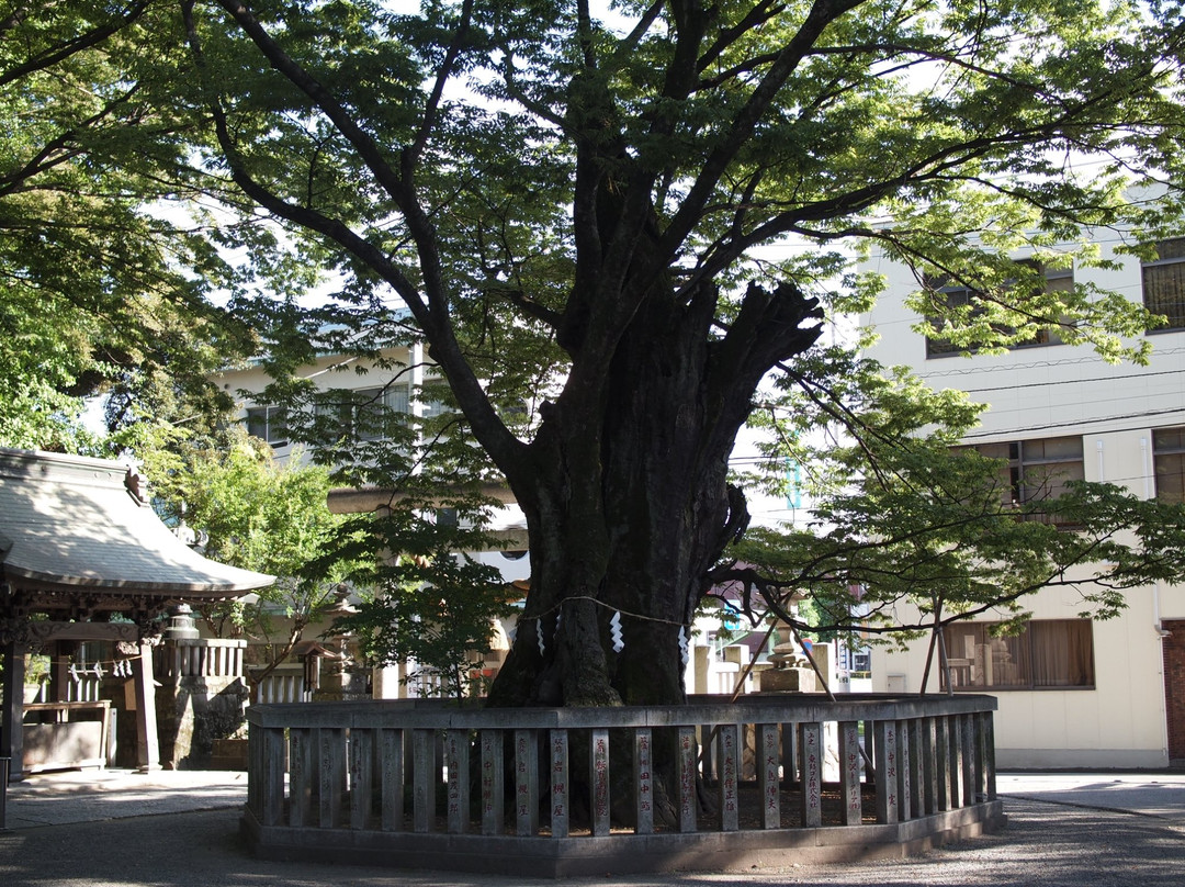Takagi Shrine景点图片