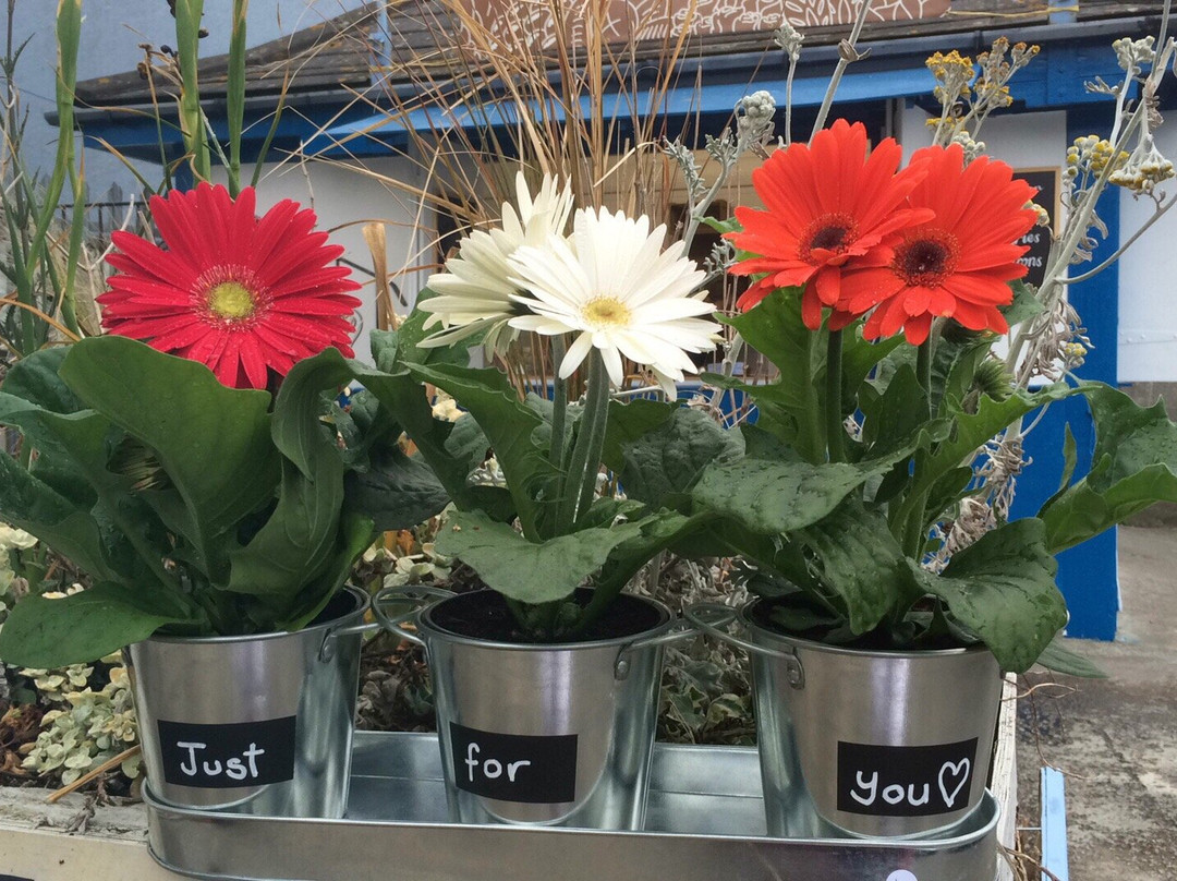 The Old Foundry Chapel-Hayle必去景点