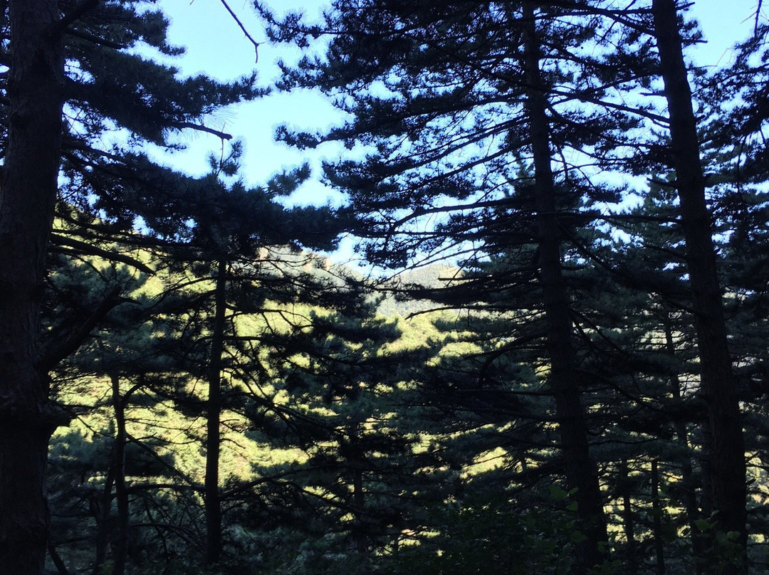 松山森林旅游区-北京市必去景点