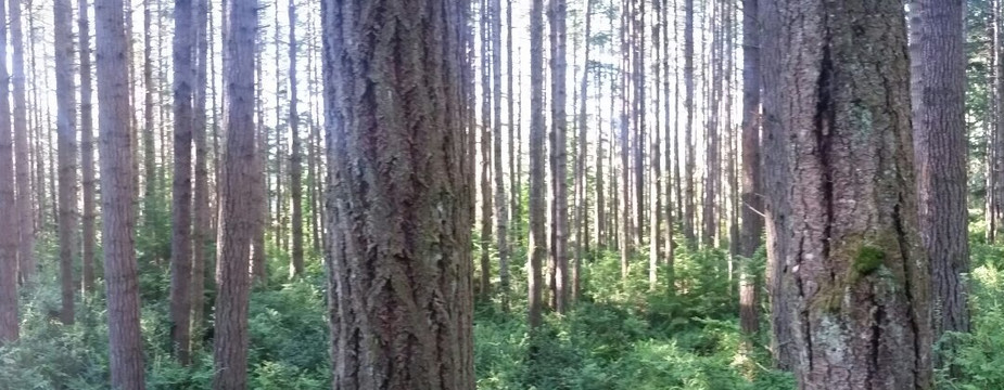 Guillemot Cove Nature Preserve-Seabeck必去景点