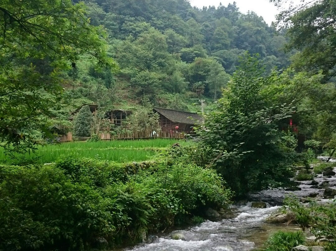 小溪保护区景点图片