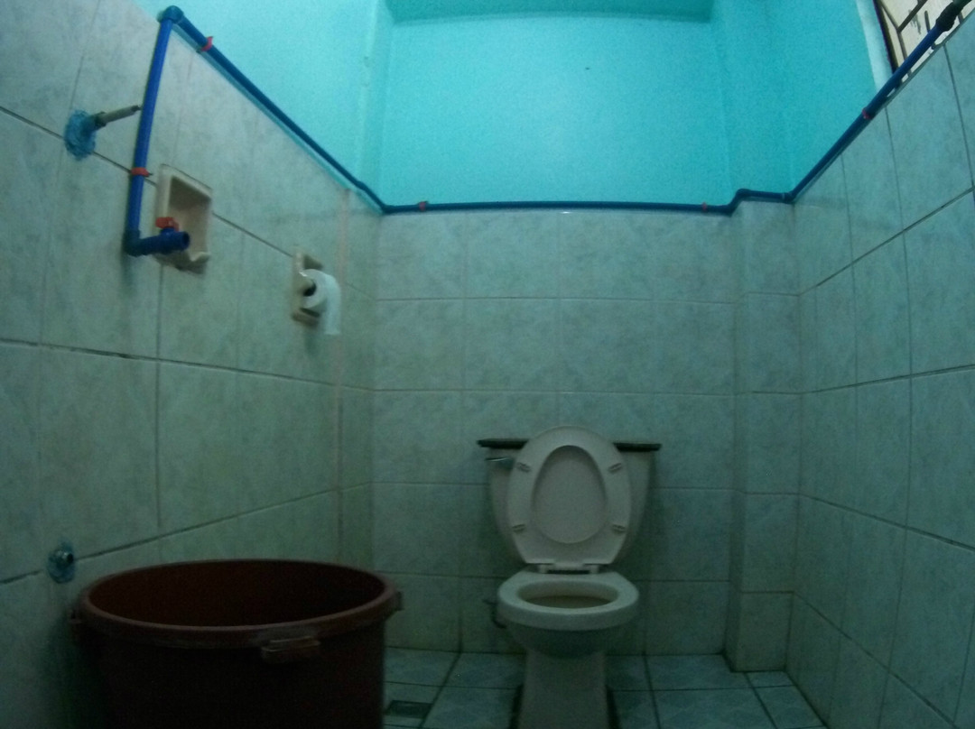 Kim's Homestay主图