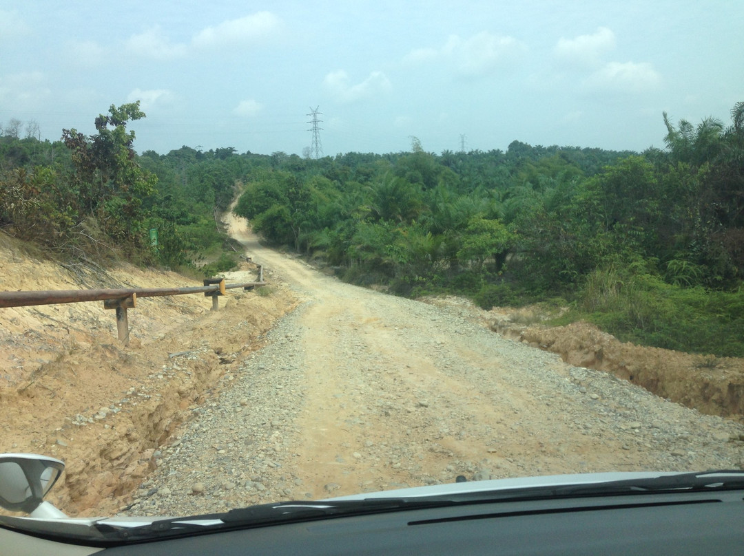 Minas Elephant Training Centre-北干巴鲁必去景点